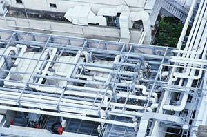 ウッドデッキを作るならサイプレスが良い