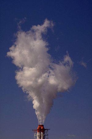 依頼しやすい環境が整備されています